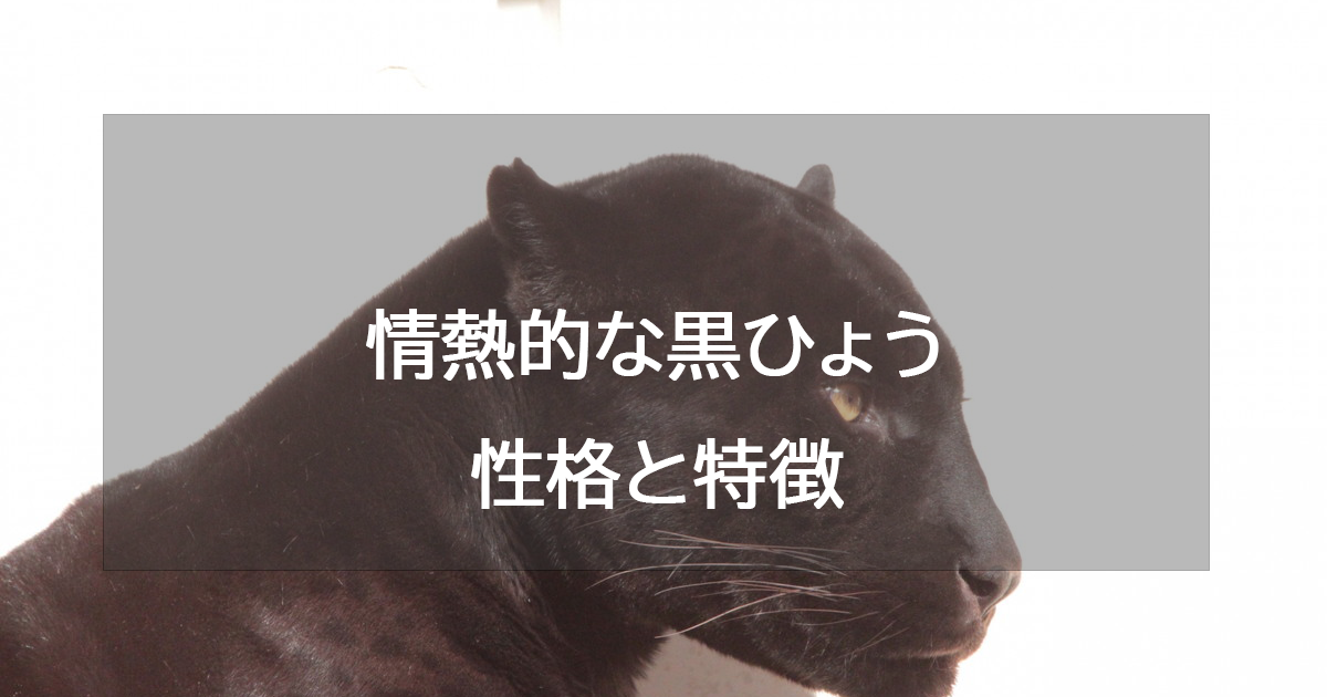 情熱的な黒ひょう(オレンジ)の性格と特徴・恋愛相性