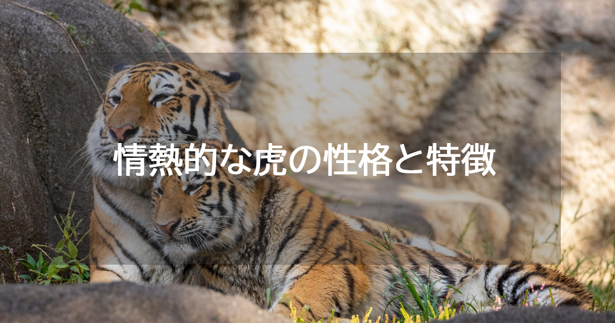 情熱的な虎の性格と特徴