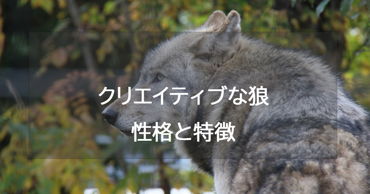 クリエイティブな狼(オレンジ)の性格と特徴・恋愛相性