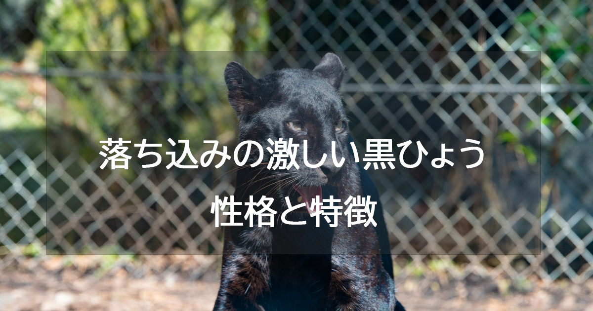 落ち込みの激しい黒ひょう(パープル)の性格と特徴・恋愛相性