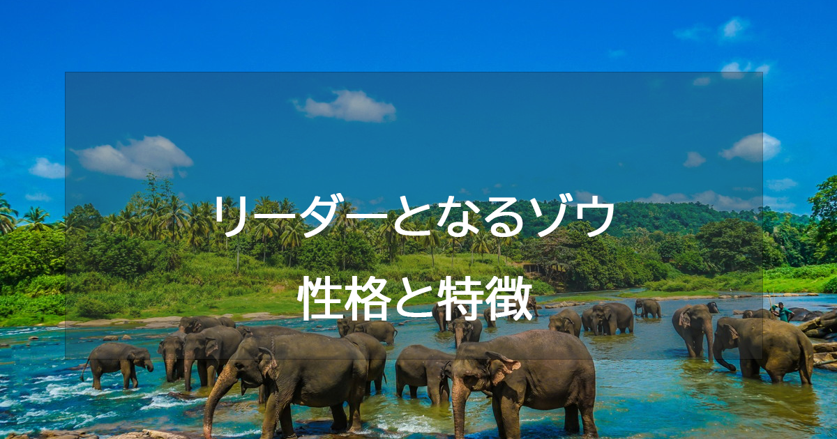 リーダーとなるゾウ(イエロー)の性格と特徴・恋愛相性