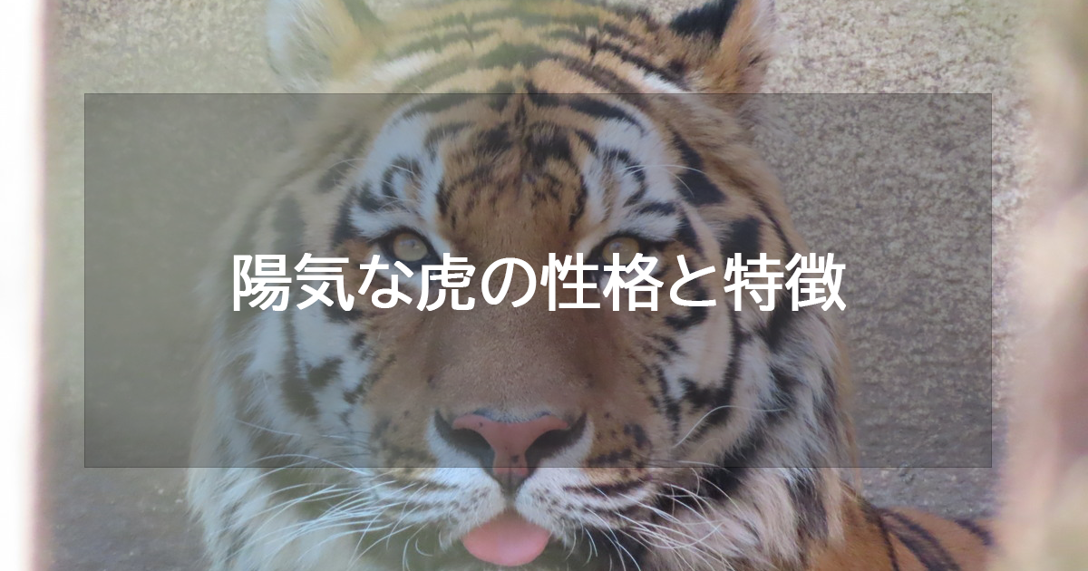 陽気な虎の性格と特徴